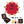 AL-KO & solo by AL-KO Robolinho Mähroboter Performance Technikset EVOlution MK4 rot