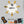Ambrogio Twenty / L15 Mähroboter Performance Technikset PRO EVOlution MK4