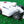 Mammotion Luba 1 AWD / 2 AWD Mähroboter Performance Style Radabdeckung Radkappe Felge