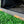 Mammotion Yuka Mähroboter Performance Komplettpaket Spikes