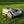 Sunseeker X7 Mähroboter Performance Komplettpaket PRO EVOlution MK4
