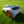Segway Navimow i2 LiDAR Mähroboter Performance Style Radabdeckungen Radkappen Felgen