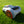 Segway Navimow i2 LiDAR Mähroboter Performance Komplettpaket PRO Radabdeckungen