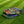 Dreame A1 Robotic Lawn Mower Premium Design Wrap